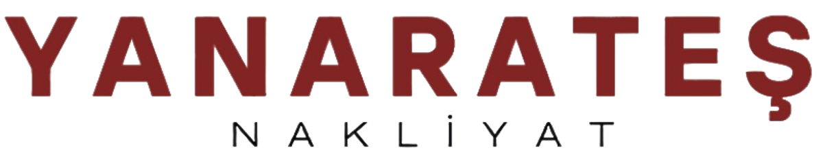 E-ticaret sitesi tasarımı