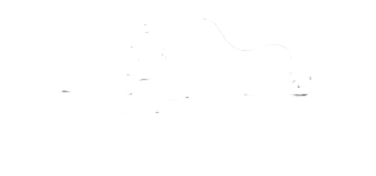 E-ticaret sitesi tasarımı